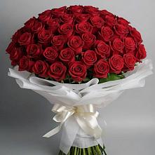 Букет 101 Красная роза Блэк Мэджик в Хворостянка