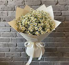 Букет цветов из:  Ромашки в Хворостянка