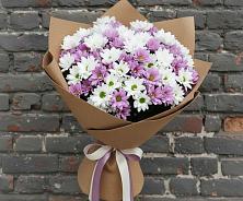 Букет цветов из:  Хризантемы #REPLACE_PRED# Хворостянка