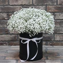 Цветочная композиция из Гипсофила в шляпной коробке в Хворостянка