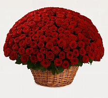 Премиум букет из: Розы в Хворостянка